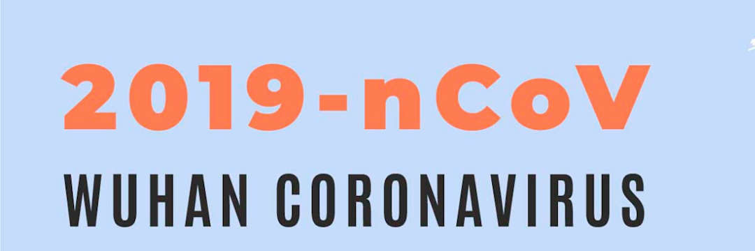 Novel Coronavirus (2019-nCoV) Epidemic