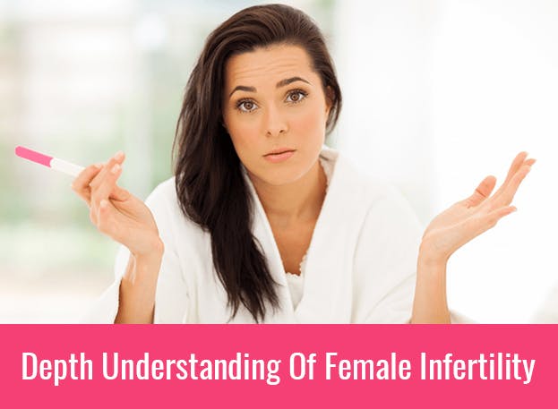 Depth Understanding Of Female Infertility