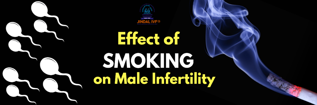 Impact of Cigarette Smoking on Male Infertility