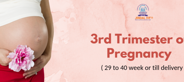 Third Trimester of Pregnancy (29 TO 40 Weeks or Till Delivery)