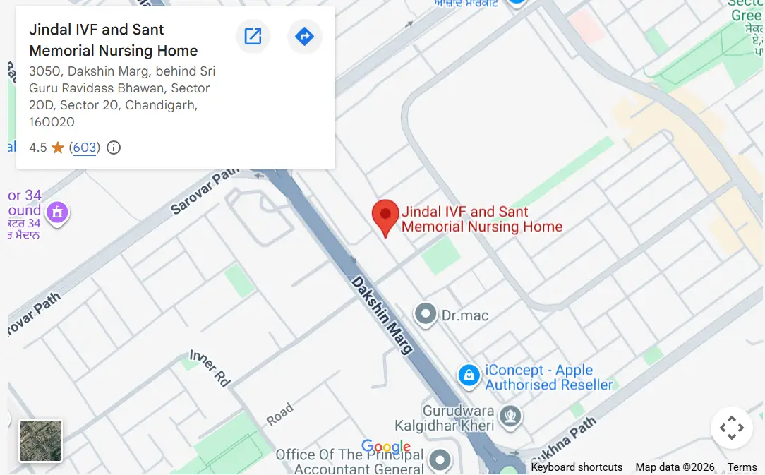 Jindal IVF Chandigarh location map — SCO 21, Sector 20 D